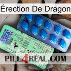Érection De Dragon new02